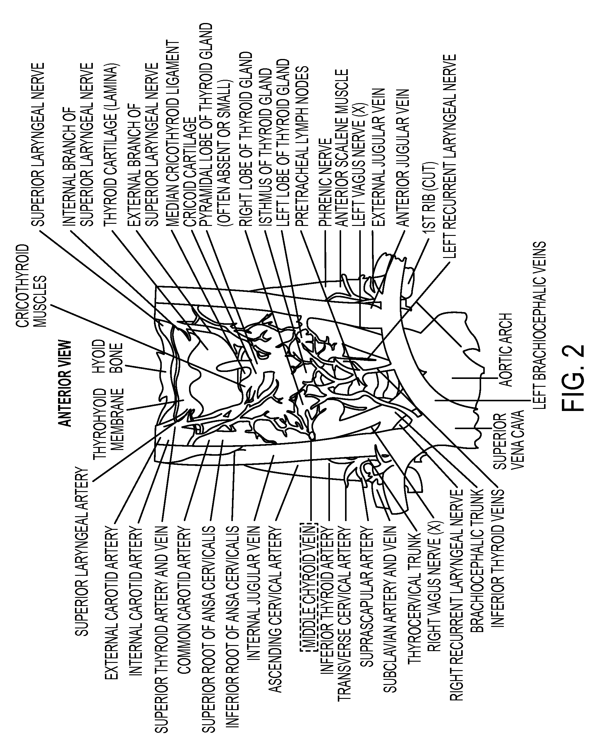 Method and System for Automatic Contrast Phase Classification