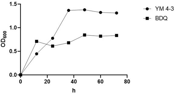 Application of pyrophosphatase gene