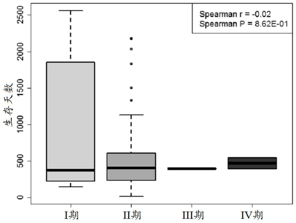 A Personalized Prognostic Assessment Method for Pancreatic Cancer Based on Multiple Gene Expression Profiles