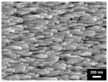 A surface-enhanced Raman substrate and its preparation method