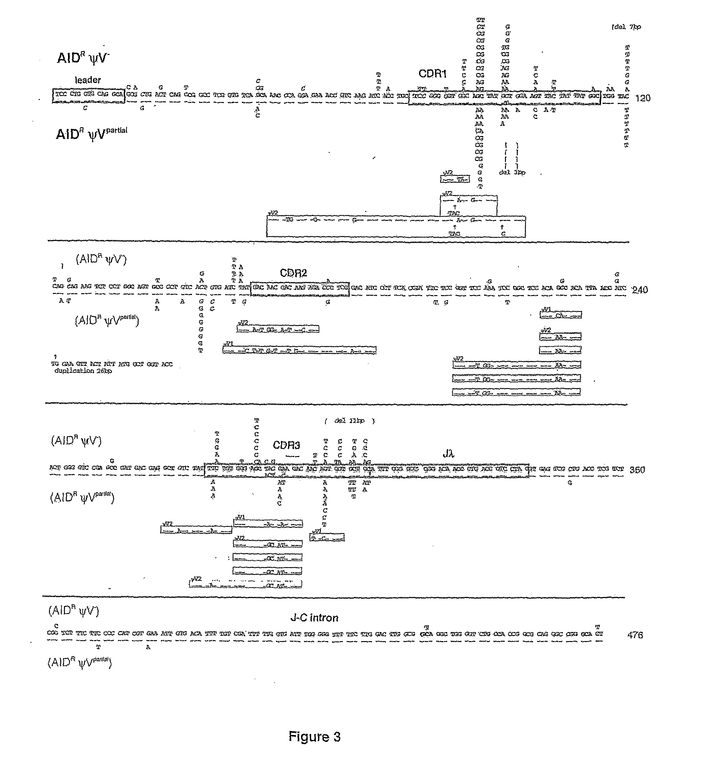 Methods for genetic diversification in gene conversion active cells