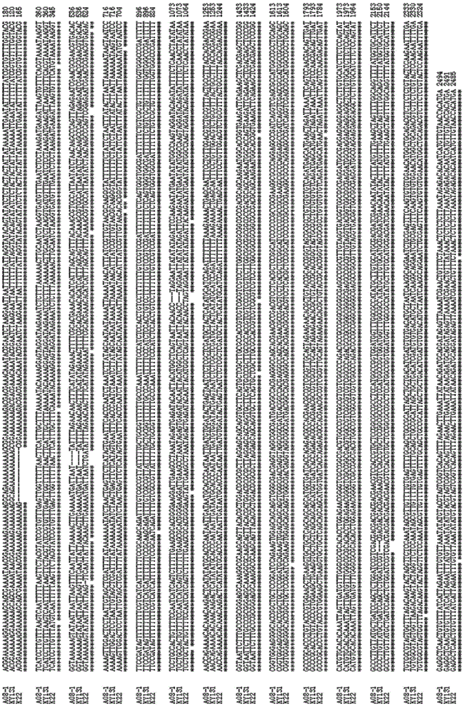 Seeding method of target genome DNA fragment-containing plants