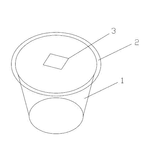 Method for raising directly transplantable seedlings of dendrobium candidum