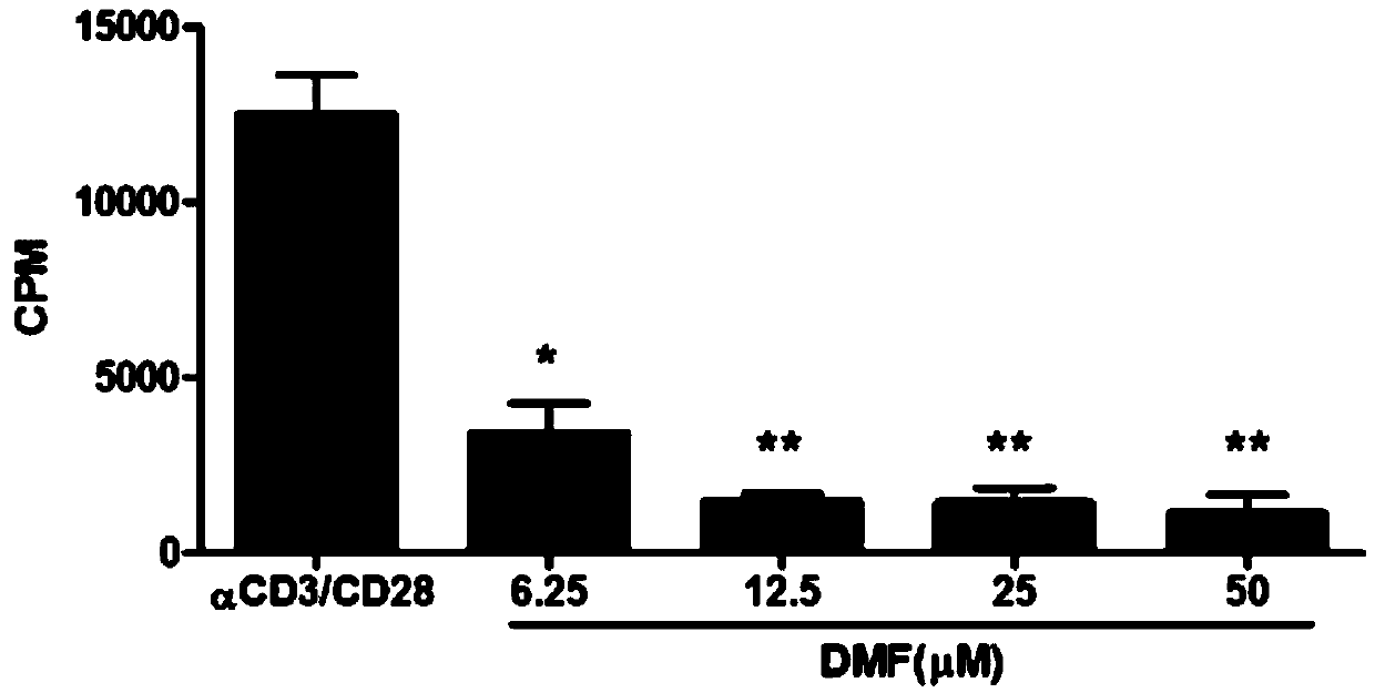 Application of dimethyl fumarate in preparation of drugs for preventing and treating graft-versus-host disease and graft-versus-leukemia