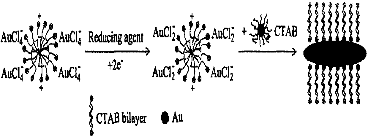 Schistosome antigen marking gold nanorods and preparation method thereof