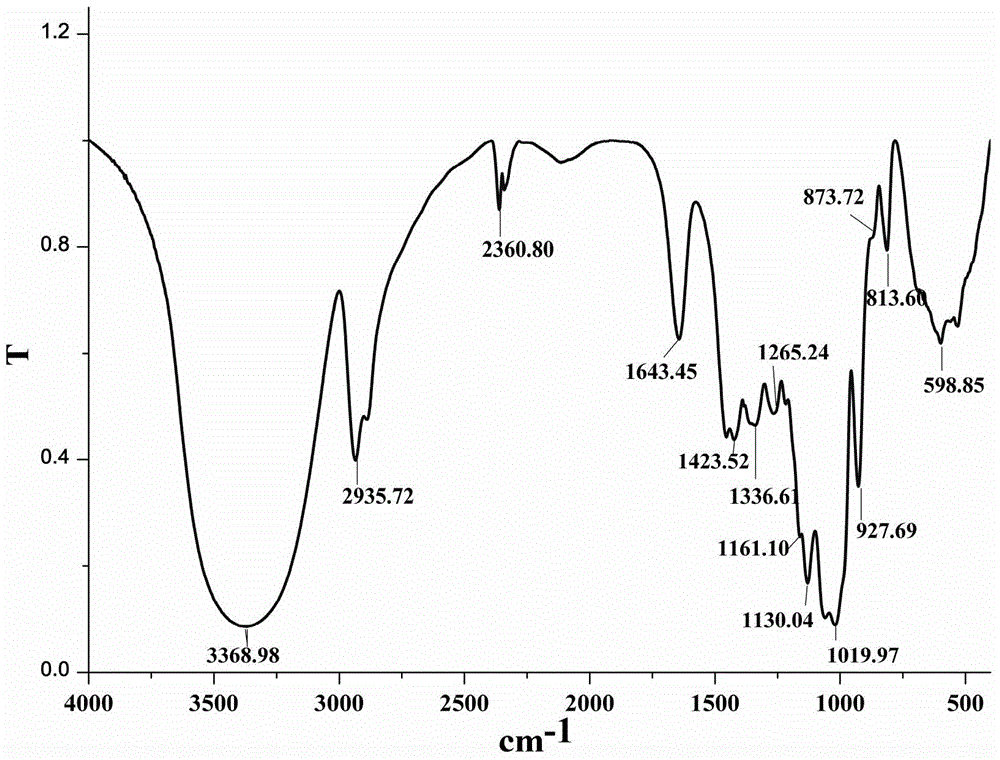 Achyranthes bidentata glycopolymer as well as preparation method and application thereof