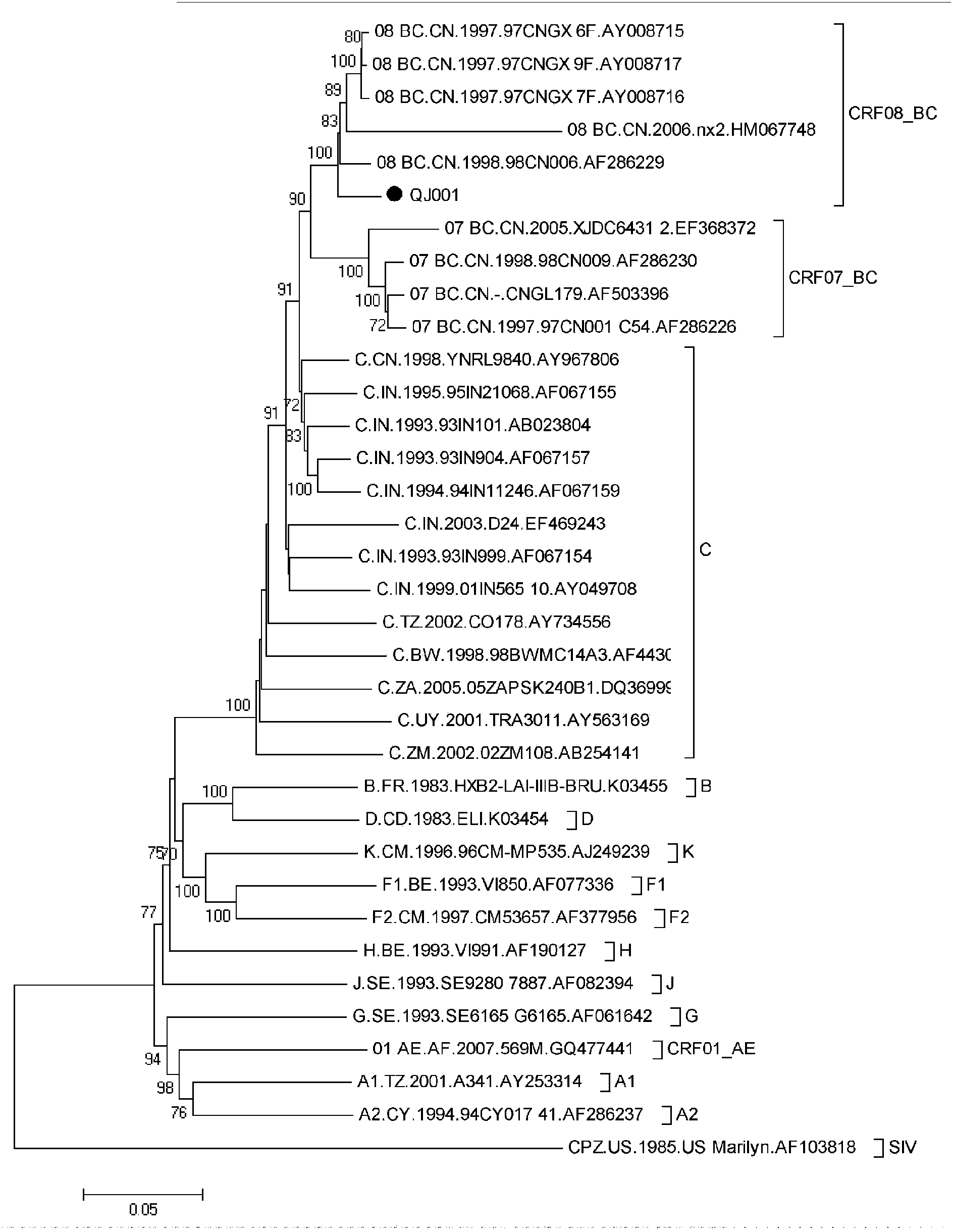 Construction and application of SHIV (simian/human immunodeficiency virus) infectious clone