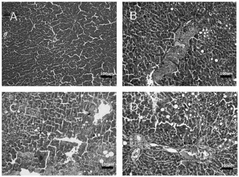 Modified green tea polyphenols and methods thereof for treating liver disease