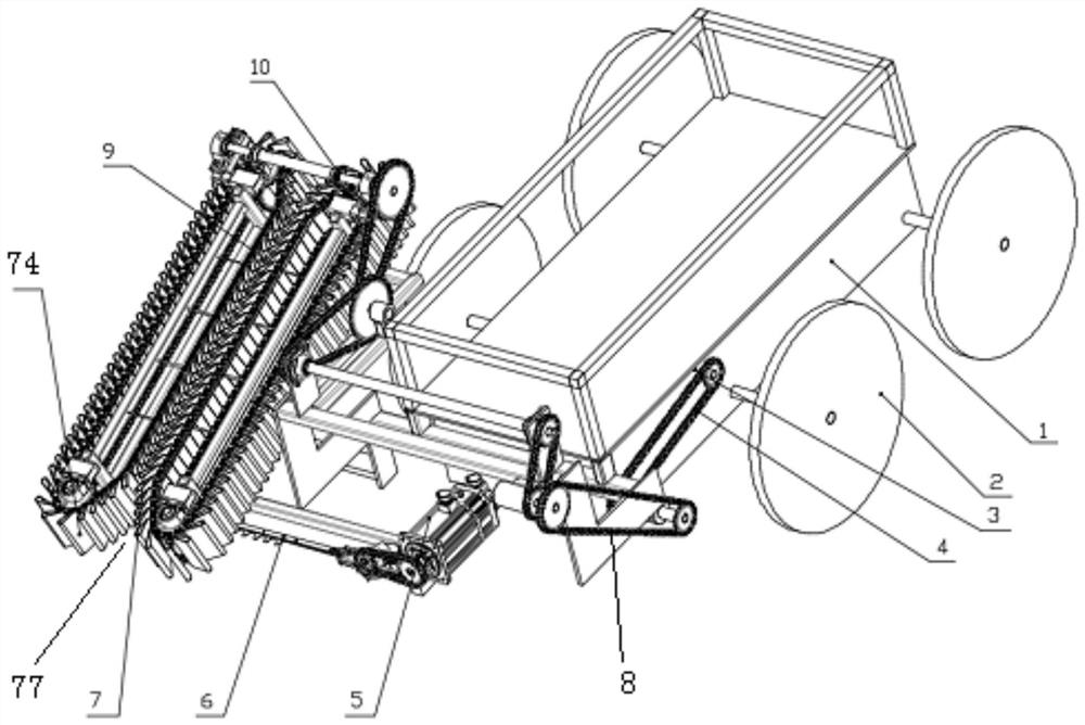 Vertical flexible clamping and conveying device for brassica campestris and harvesting machine