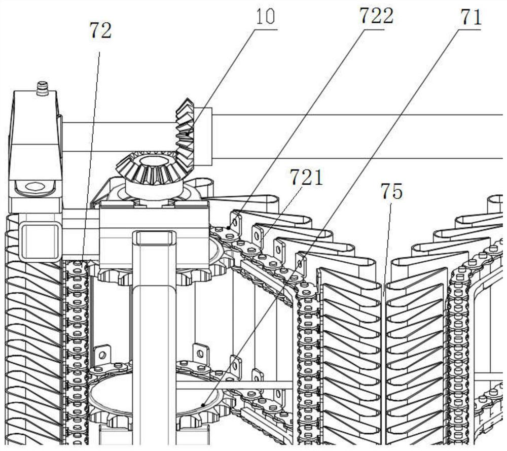 Vertical flexible clamping and conveying device for brassica campestris and harvesting machine