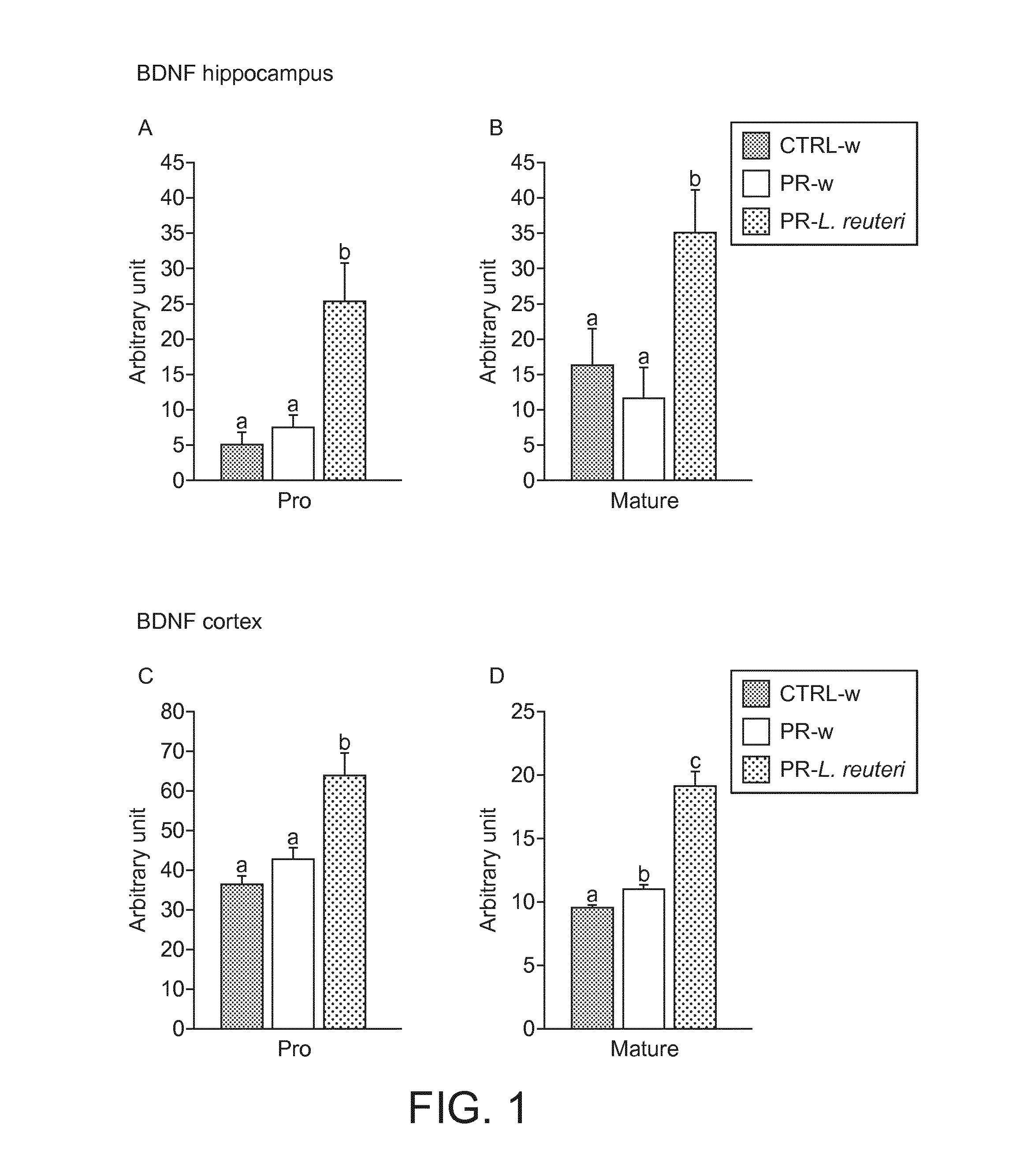 Lactobacillus Reuteri DSM 17938 for the Development of Cognitive Function