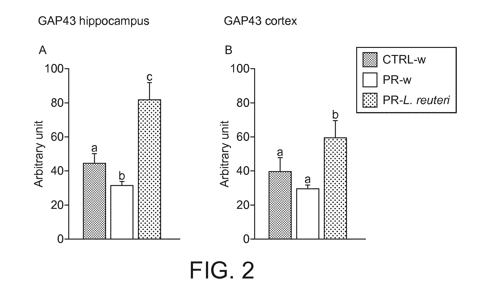 Lactobacillus Reuteri DSM 17938 for the Development of Cognitive Function