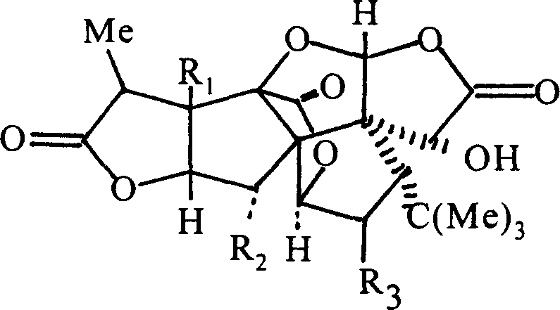 Soft bilobalide capsule and its prepn.