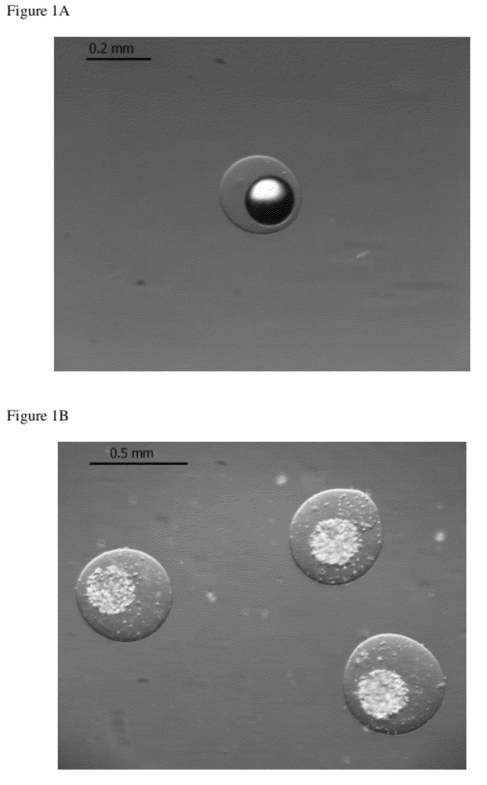 Nested cell encapsulation