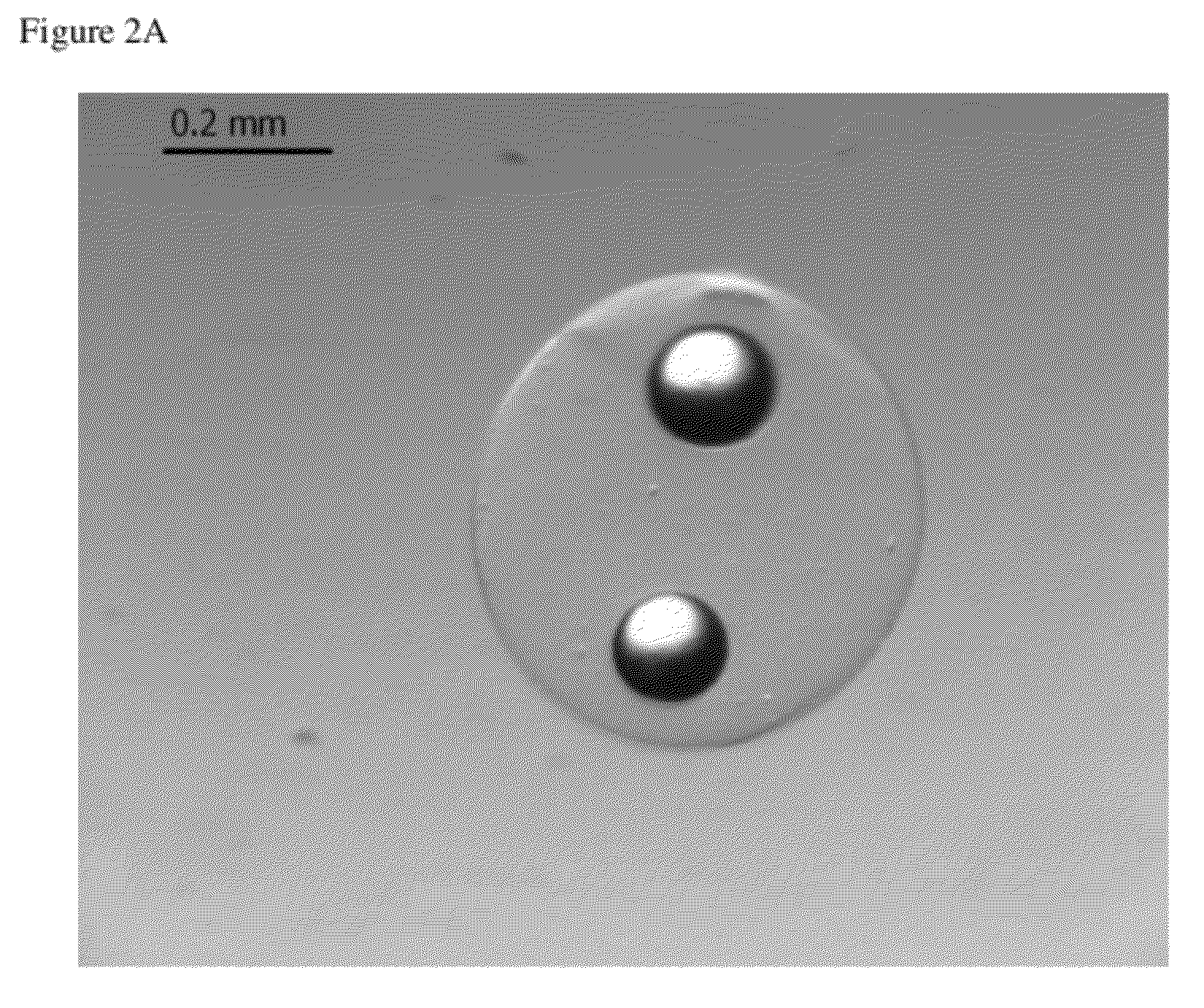 Nested cell encapsulation