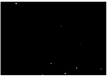 Method for extracting Cryptococcus humicola mitochondrion