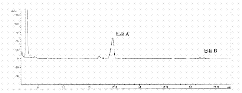 Streptomyces fungicidious mutant strain and application thereof