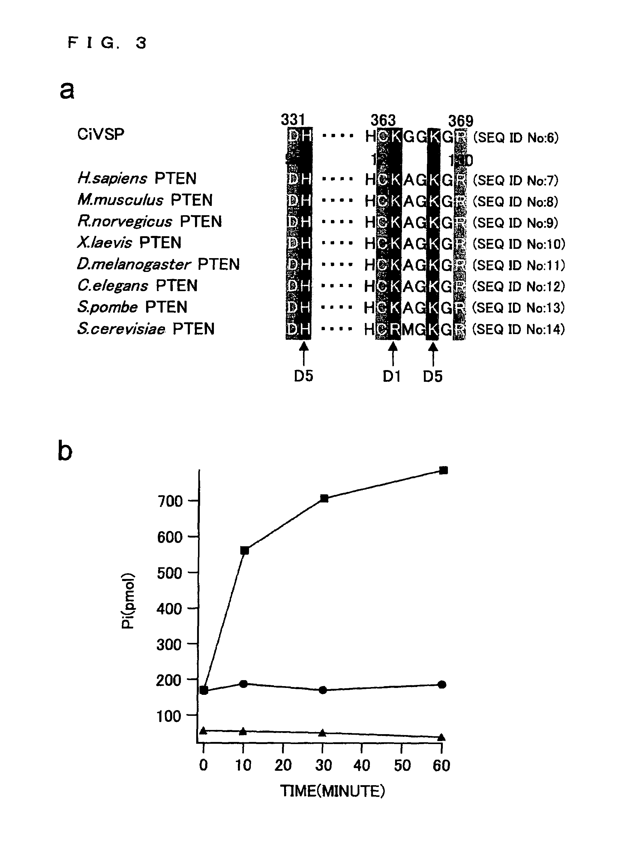 Ion channel-like polypeptide and use thereof