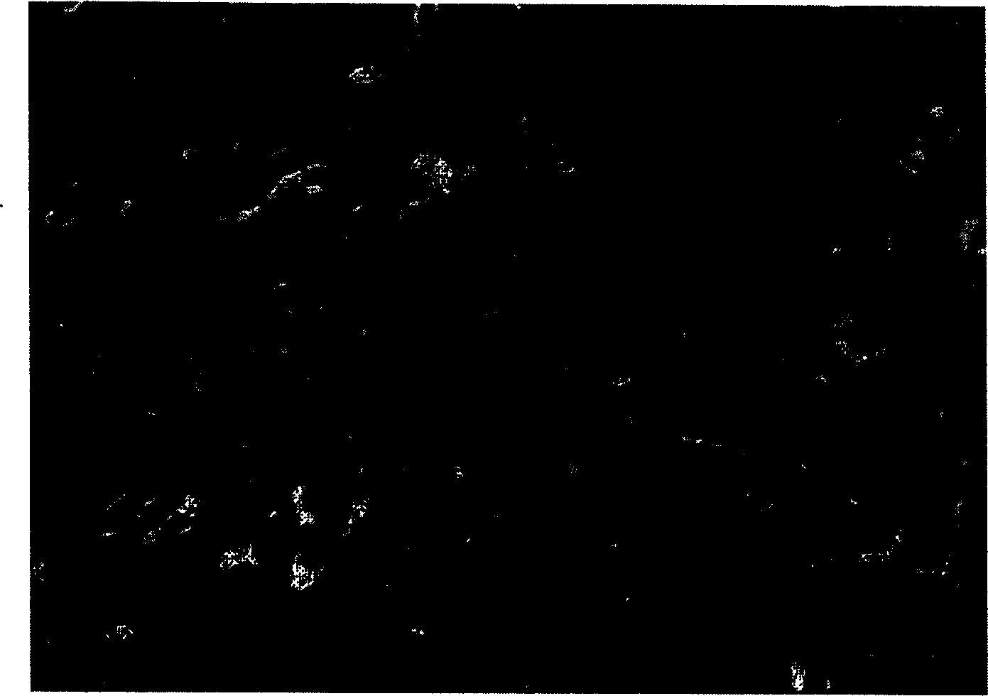 Collagen purification method using CO2 supercritical fluidization method