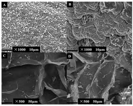 A kind of preparation method of environment-friendly organic waste water biological purification agent