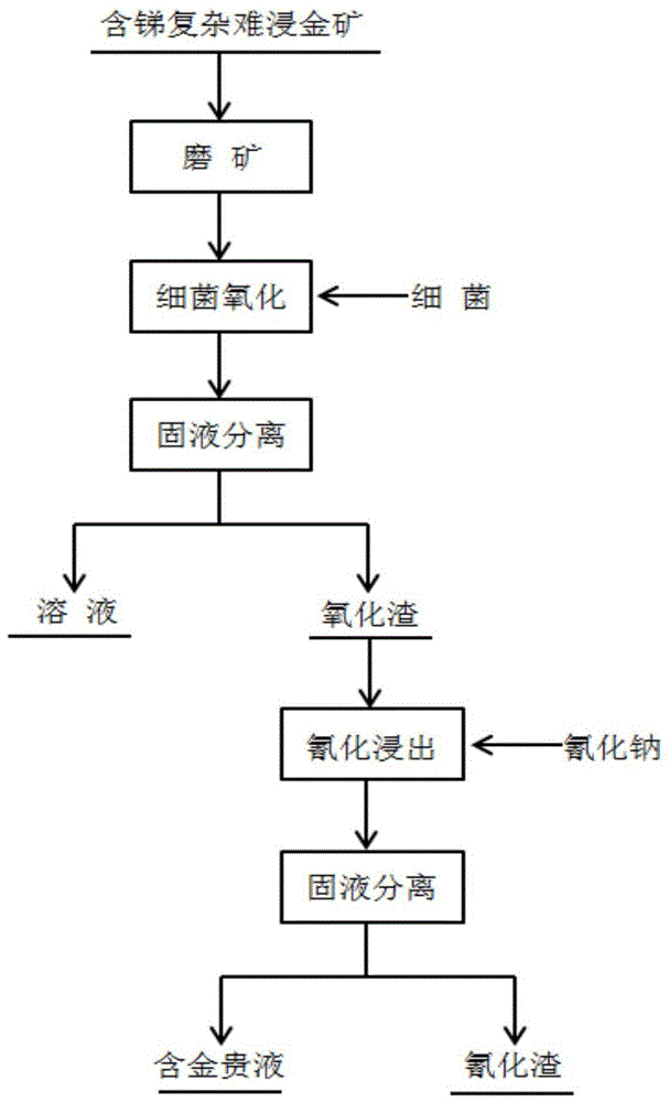 A biological gold extraction process and microorganisms used in antimony-containing complex refractory gold ore