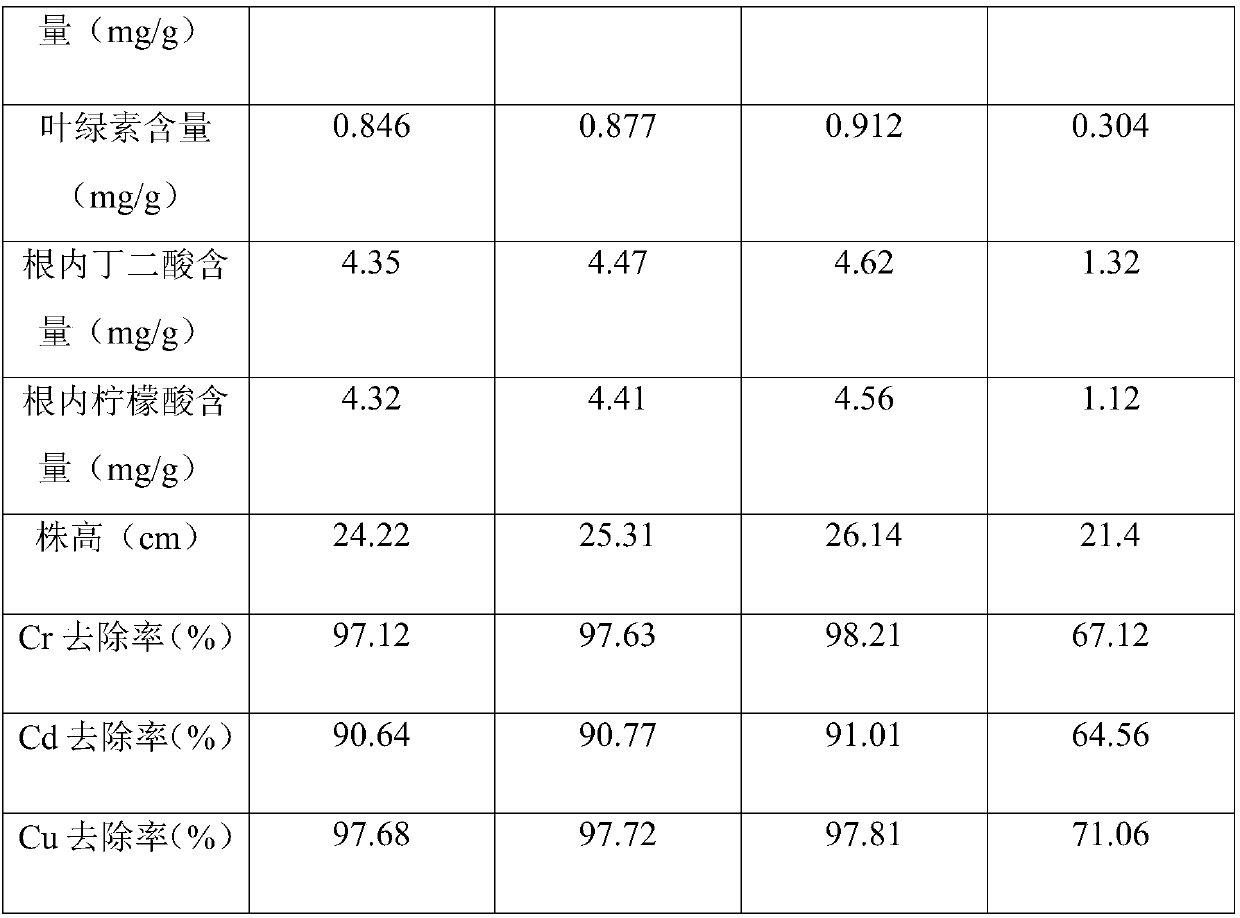 Adsorbent based on photosynthetic spore bacterium treatment of soil heavy metals, and preparation method thereof