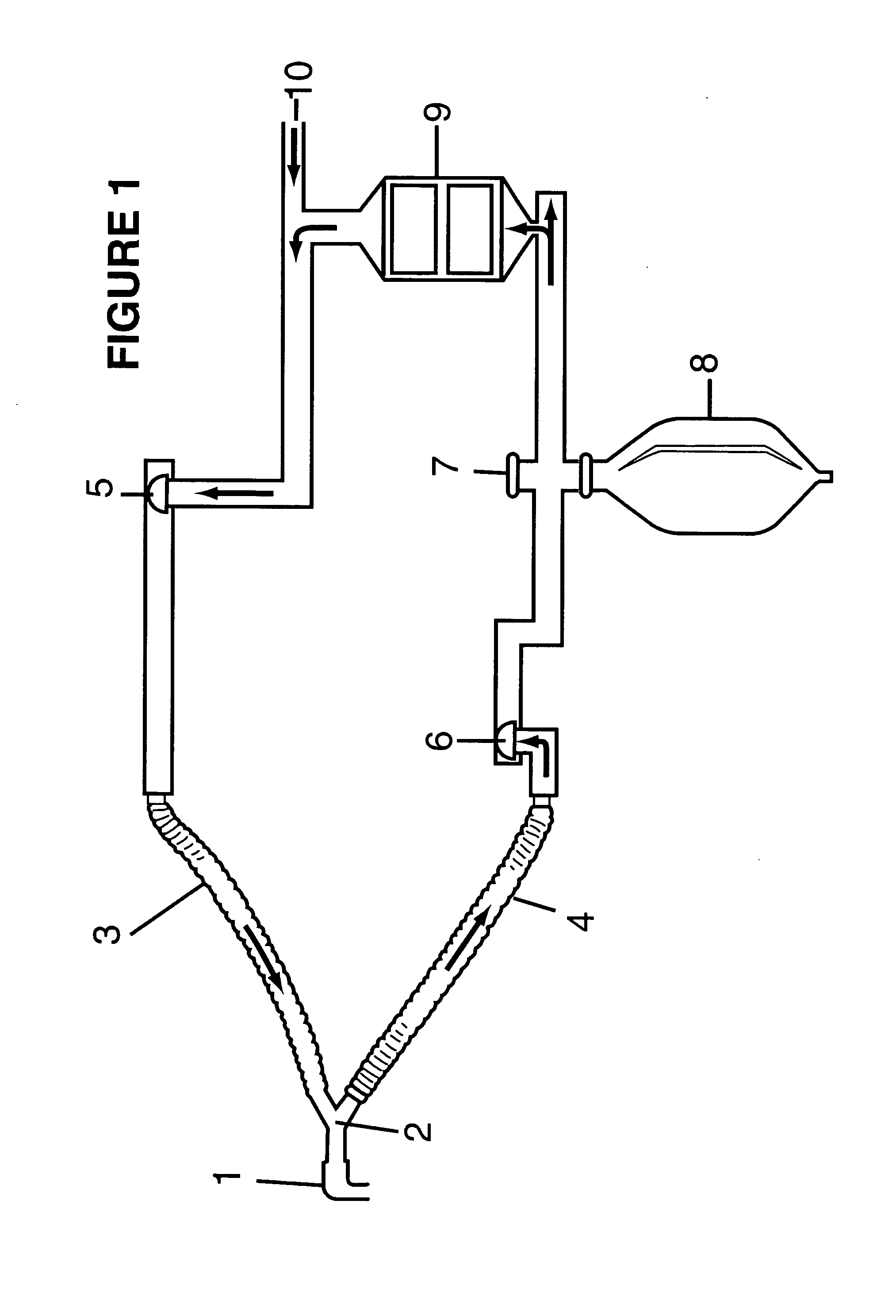 Multi-lumen breathing tube device