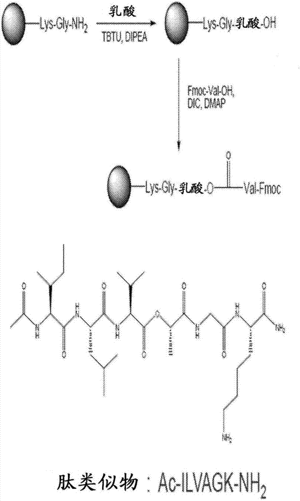 Self-assembling ultrashort aliphatic depsipeptides for biomedical applications