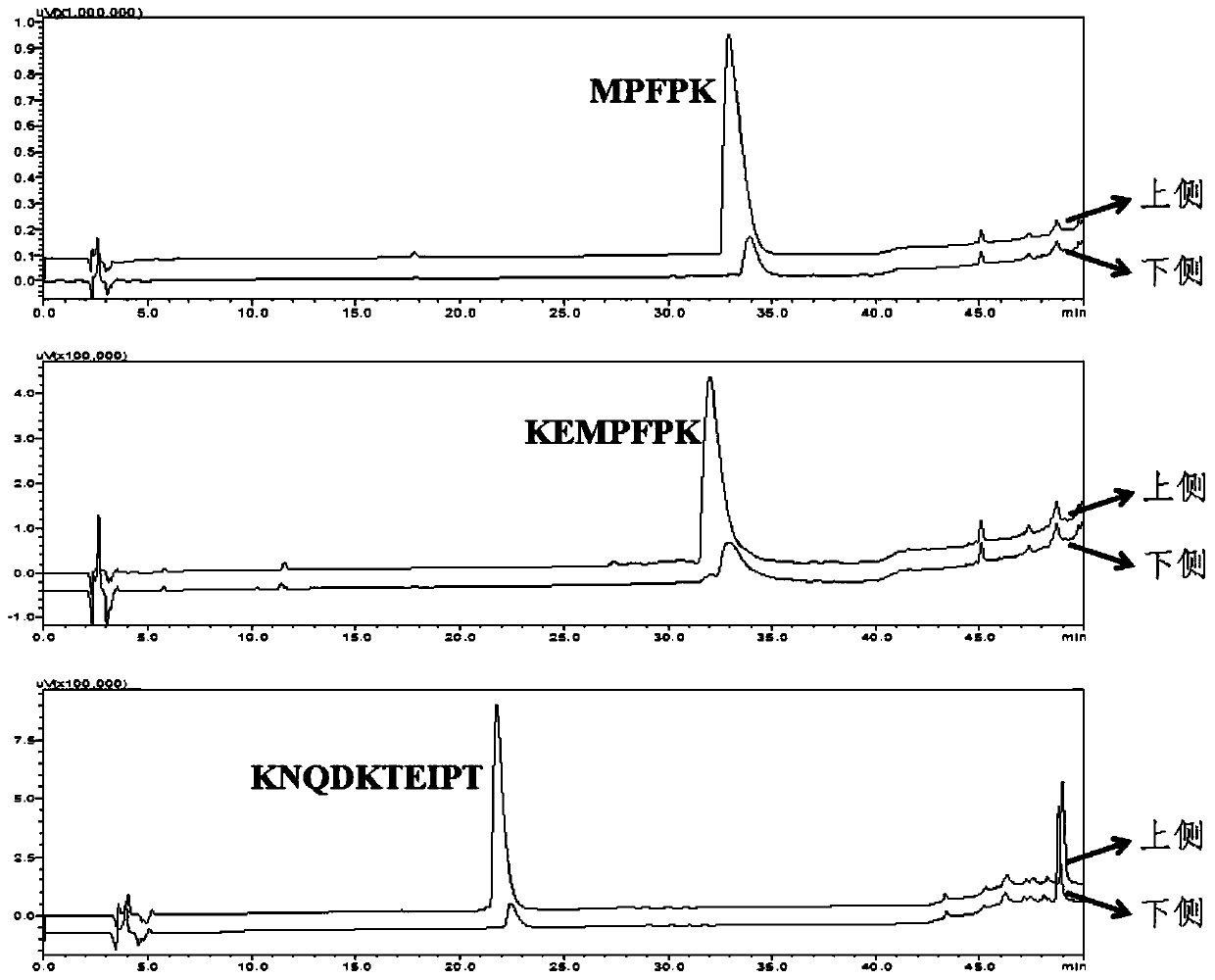 A kind of antioxidant peptide derived from casein and its application