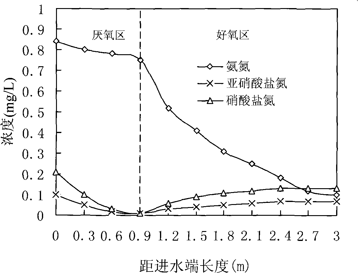 Method for processing waste water of circulating marine culture by using artificial wet land