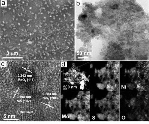 MoO2-NiSx/CC hydrogen evolution electrocatalyst and preparation method thereof