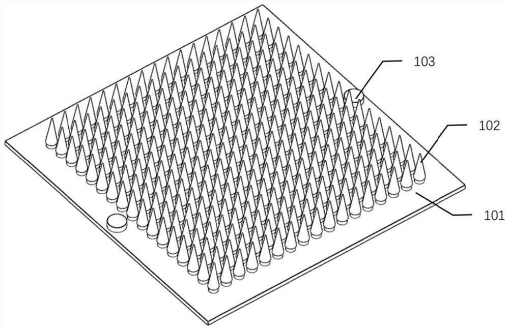 A kind of soluble microneedle and medicine feeding device