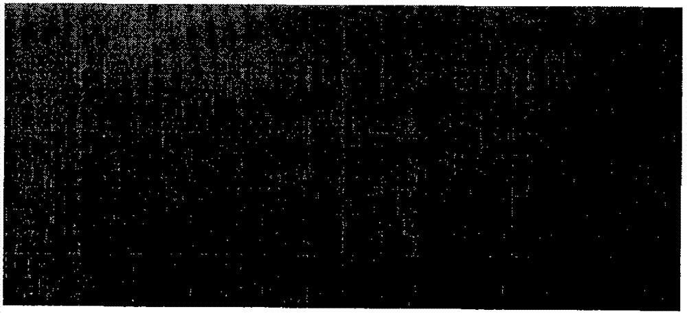 Process of silane-zirconium salt conversion treatment before metal cathode electrophoresis coating