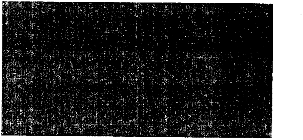 Process of silane-zirconium salt conversion treatment before metal cathode electrophoresis coating