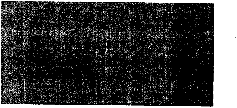 Process of silane-zirconium salt conversion treatment before metal cathode electrophoresis coating