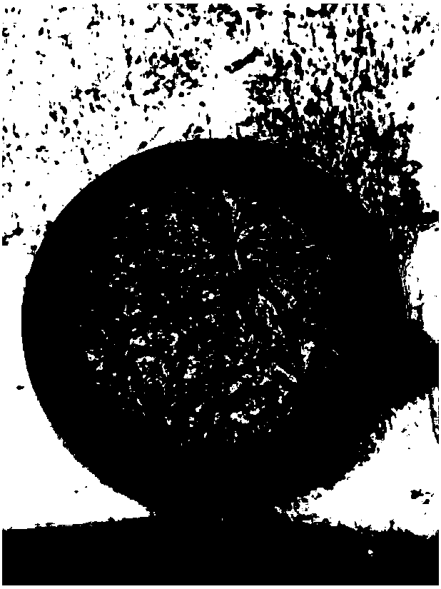 Preparation method of bromine-doped high-conductivity ultrathin graphene film