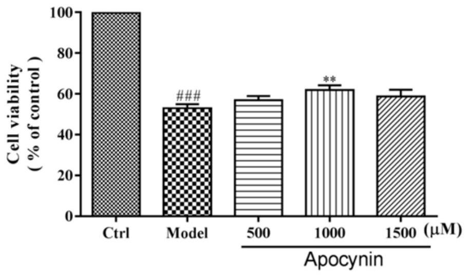 Application of kutkin dimer analog derivative in preparation of drugs or healthcare products for preventing and treating Parkinson's disease