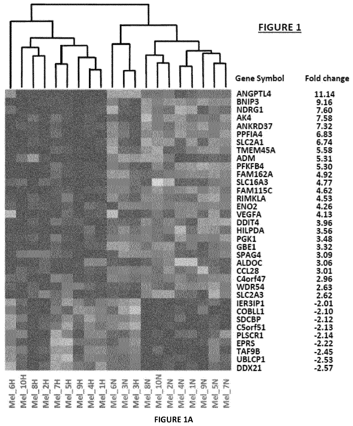 Method for assessing the response to pd-1/pdl-1 targeting drugs