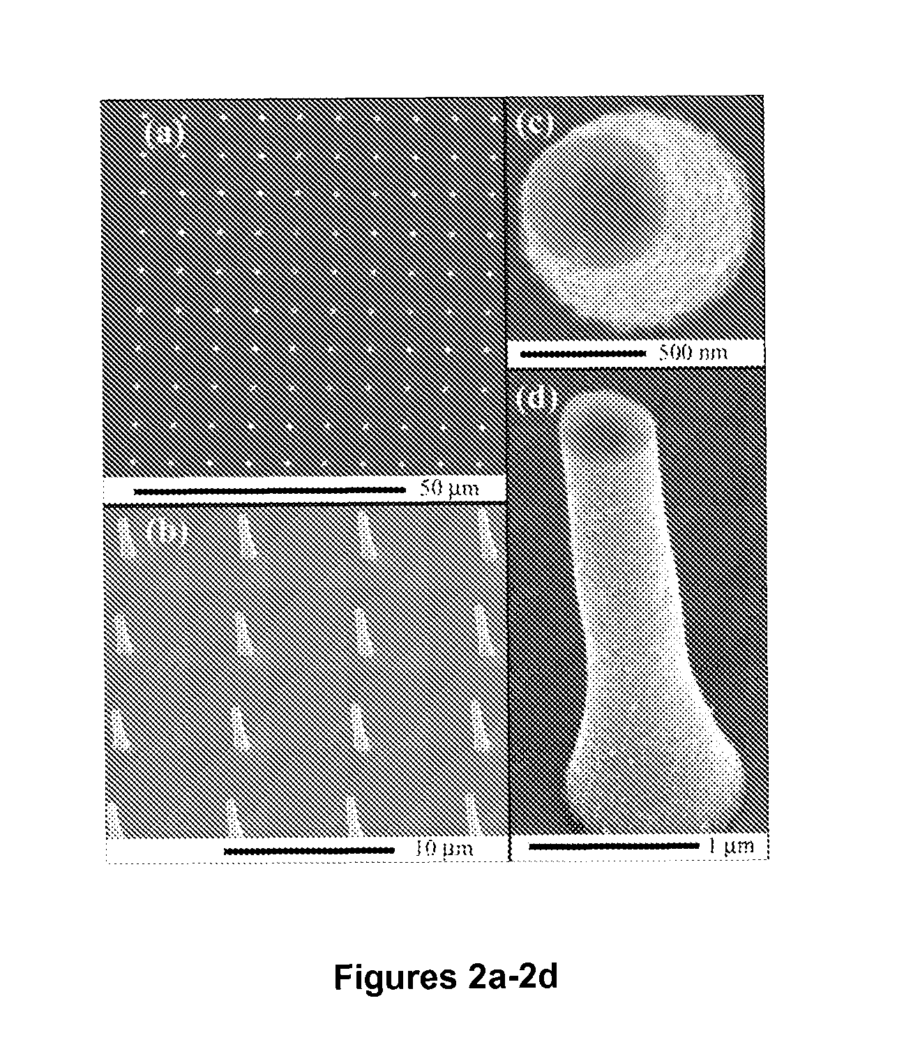 Electrochemical deposition platform for nanostructure fabrication