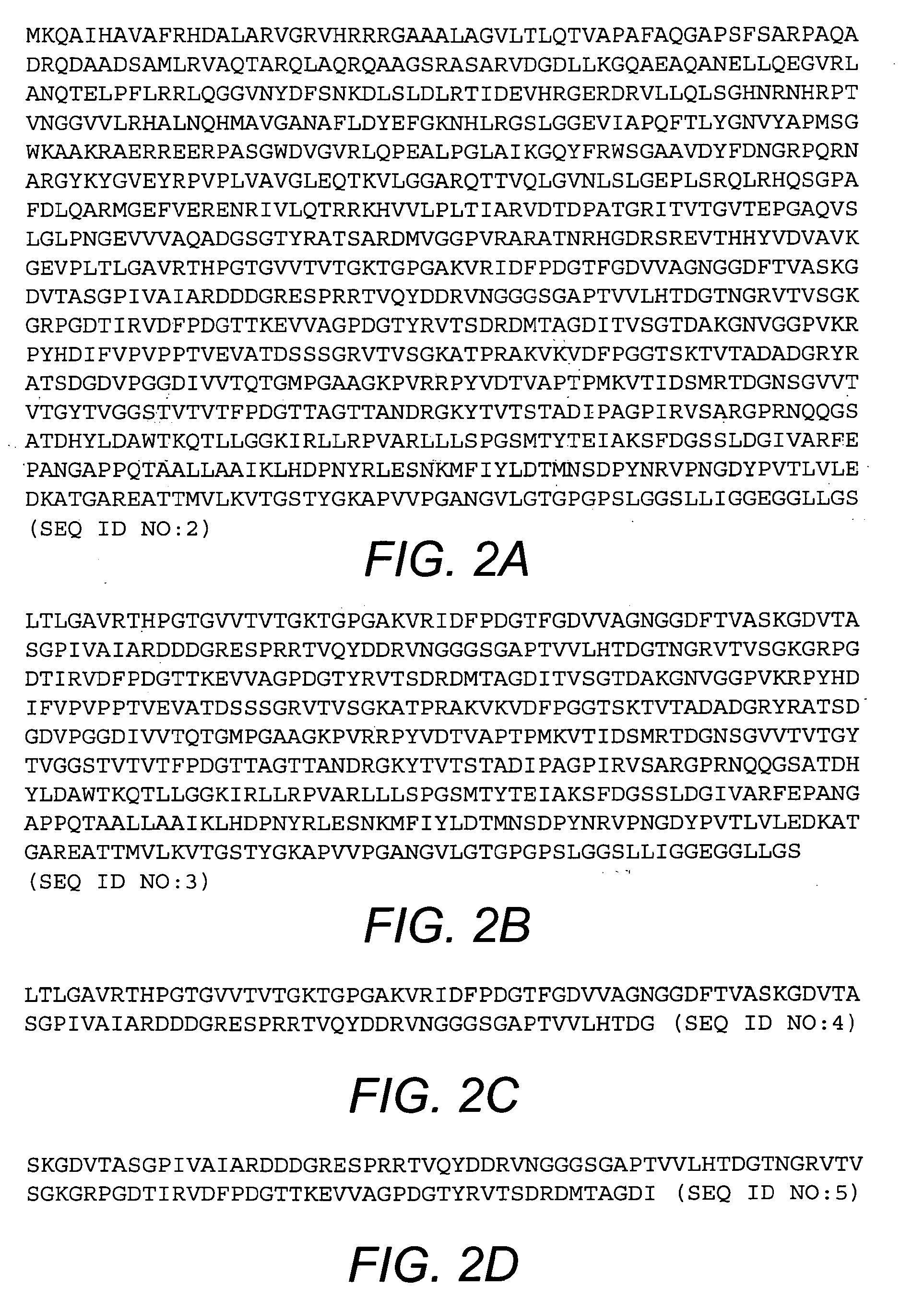 Bordetella outer-membrane protein antigens and methods of making and using the same