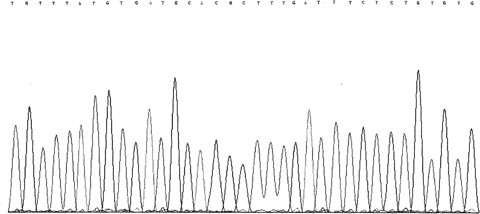 Method for detecting rs4846085 locus of hypertension susceptibility gene and detection kit thereof