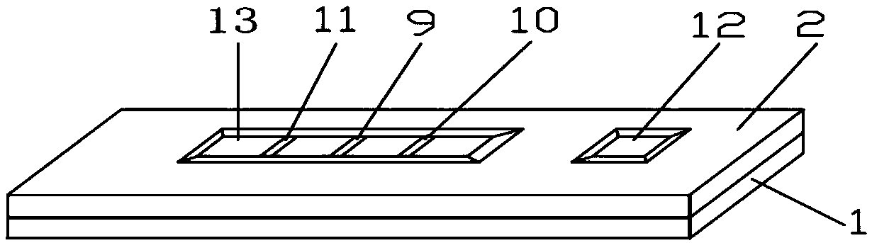 Autoantibody immunochromatographic strip and test card for simultaneously detecting M-type phospholipase A2 receptor and type 1 thrombospondin 7A domain