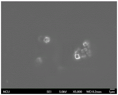 Preparation method of antimicrobial hydrogel applied to surface of touch screen