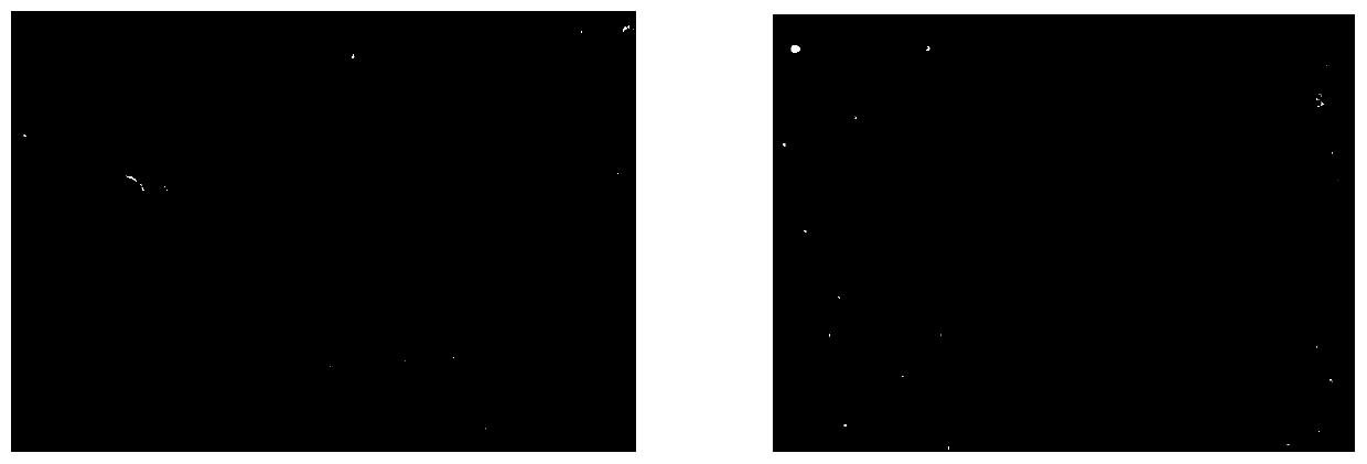 Isolated culture method of horse skeletal muscle satellite cells