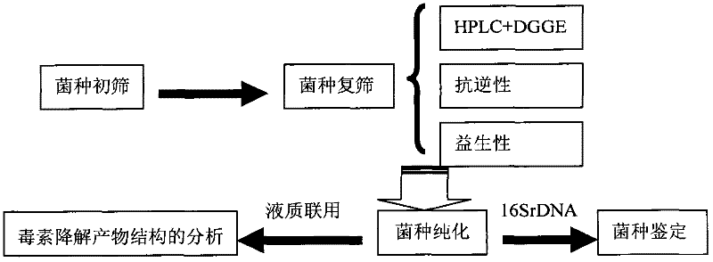 Bacillus subtilis for simultaneously degrading zearalenone and cellulose and application thereof