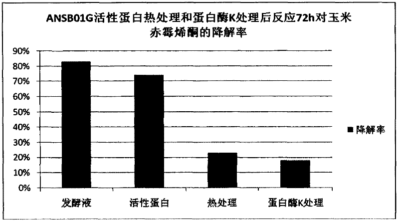 Bacillus subtilis for simultaneously degrading zearalenone and cellulose and application thereof