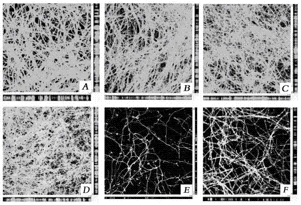 Composition and method for killing aspergillus fumigatus