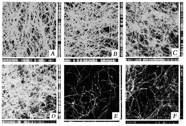 Composition and method for killing aspergillus fumigatus