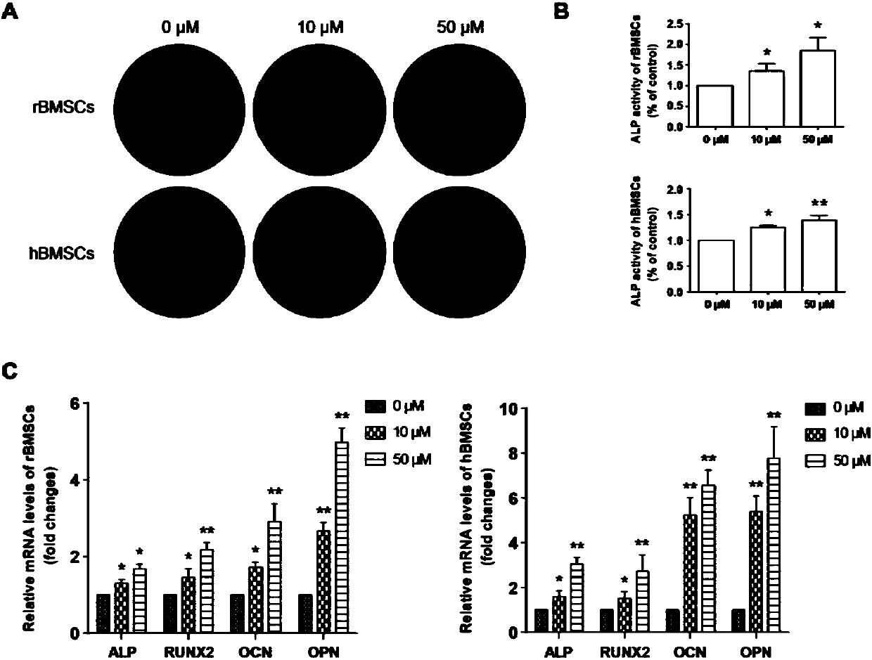 Application of aloin in improvement of osteogenic capability of bone mesenchymal stem cell