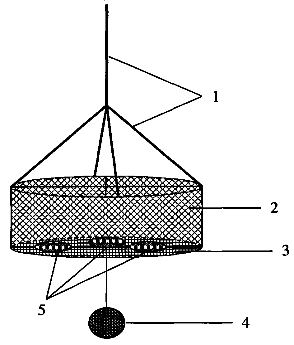 Sea cucumber culturing facility and culturing method applicable to marine net cage culture area